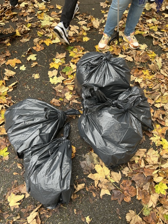 Collected rubbish